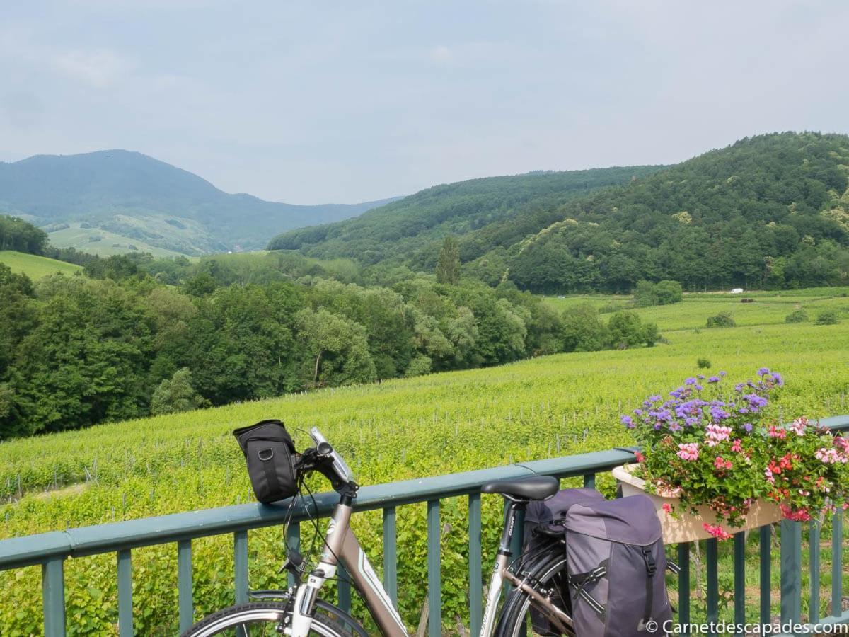 Coeur D'Alsace Colmar Vignobles Ouest Avec Terrasses Villa Wintzenheim Bagian luar foto