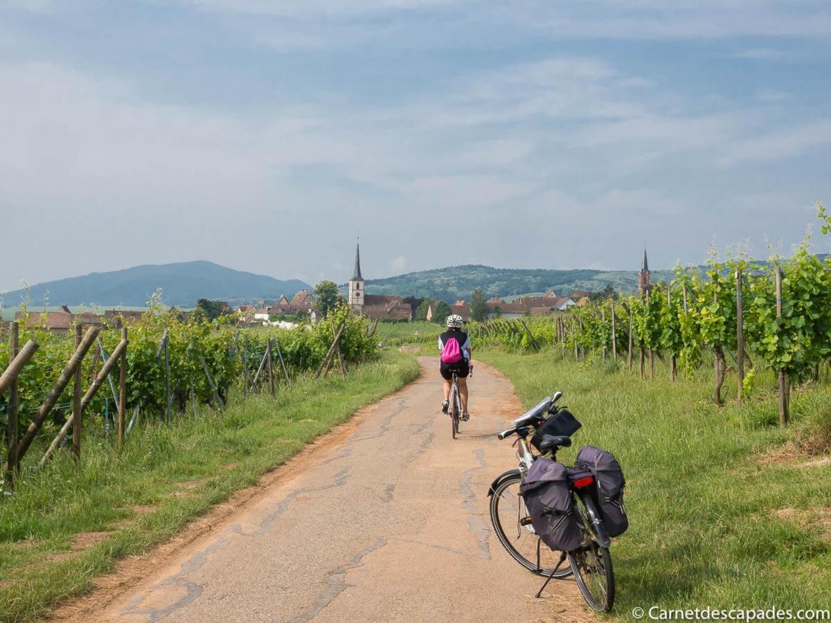 Coeur D'Alsace Colmar Vignobles Ouest Avec Terrasses Villa Wintzenheim Bagian luar foto