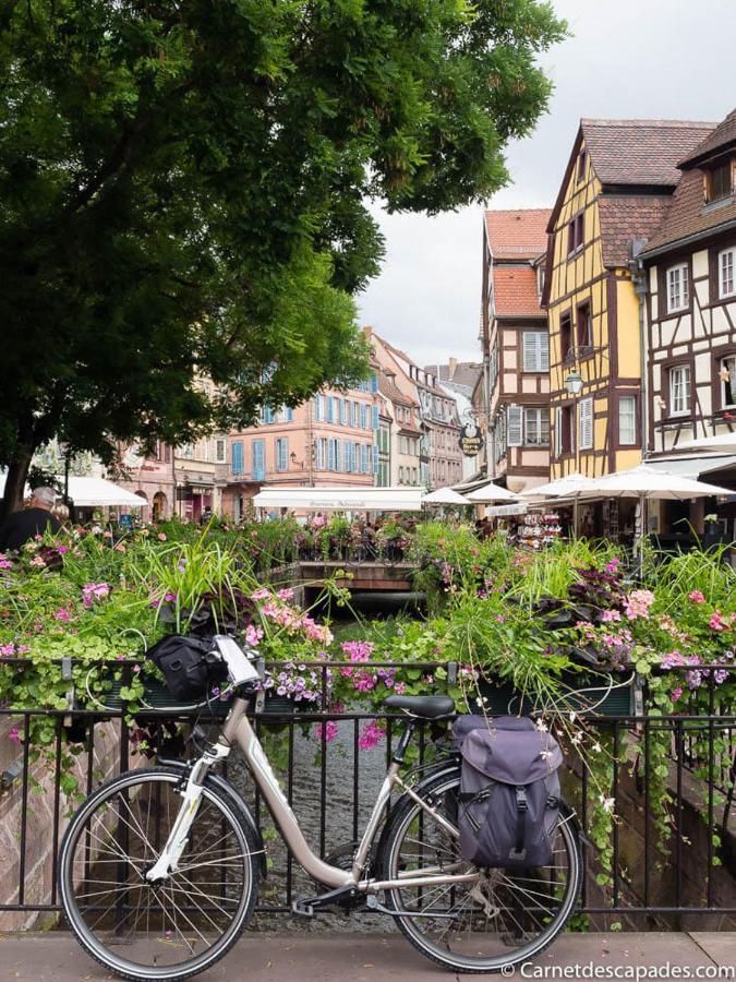 Coeur D'Alsace Colmar Vignobles Ouest Avec Terrasses Villa Wintzenheim Bagian luar foto