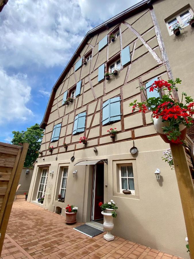 Coeur D'Alsace Colmar Vignobles Ouest Avec Terrasses Villa Wintzenheim Bagian luar foto