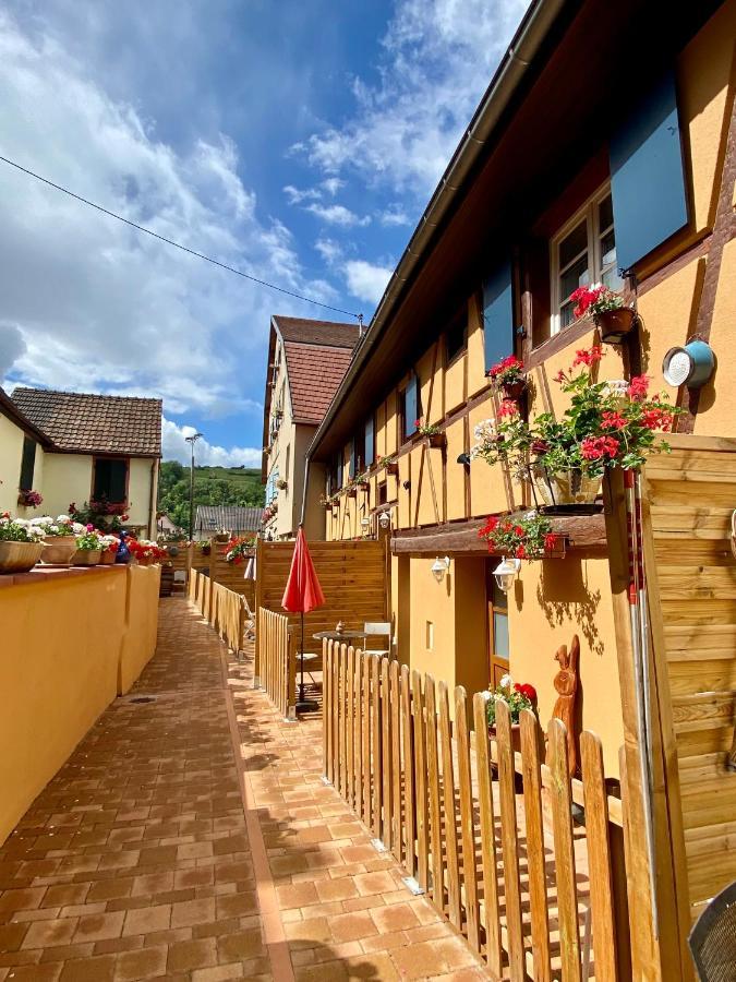 Coeur D'Alsace Colmar Vignobles Ouest Avec Terrasses Villa Wintzenheim Bagian luar foto