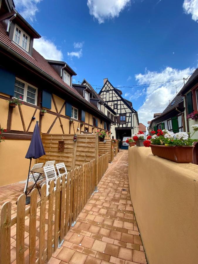 Coeur D'Alsace Colmar Vignobles Ouest Avec Terrasses Villa Wintzenheim Bagian luar foto
