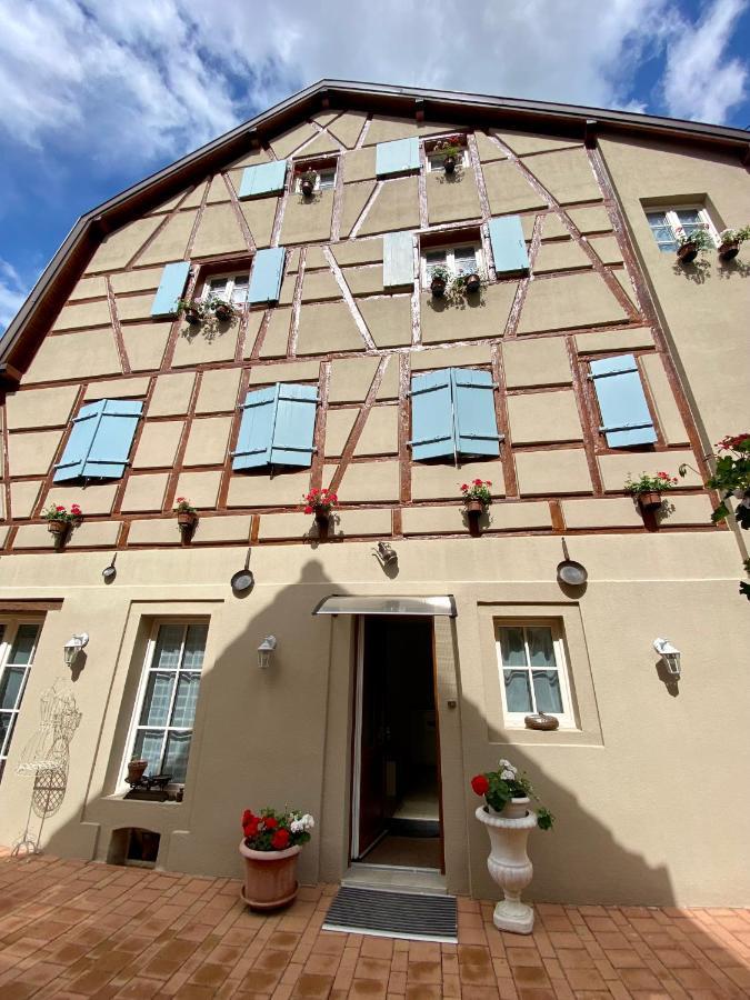 Coeur D'Alsace Colmar Vignobles Ouest Avec Terrasses Villa Wintzenheim Bagian luar foto