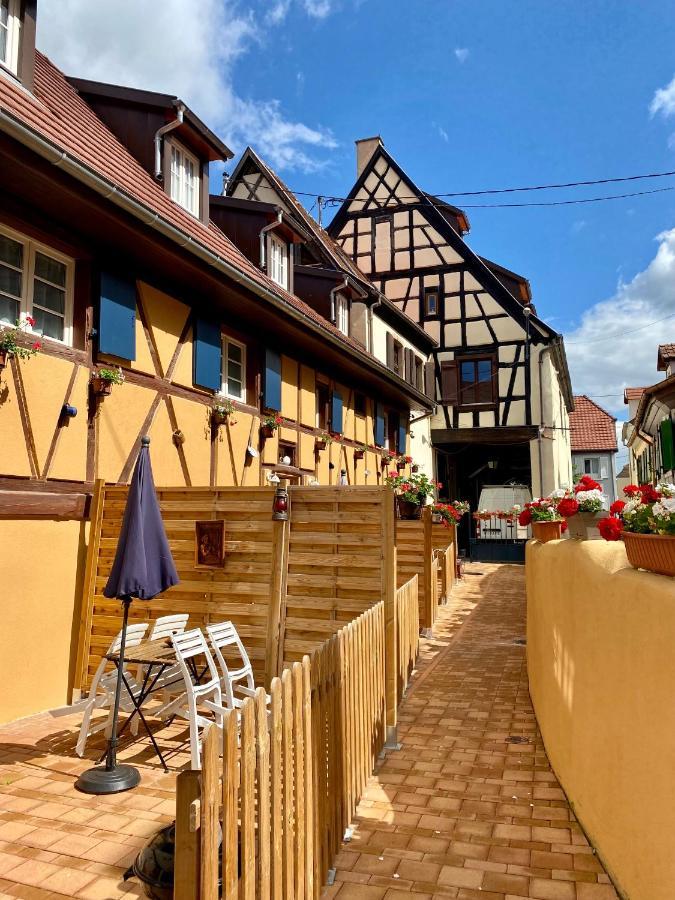Coeur D'Alsace Colmar Vignobles Ouest Avec Terrasses Villa Wintzenheim Bagian luar foto