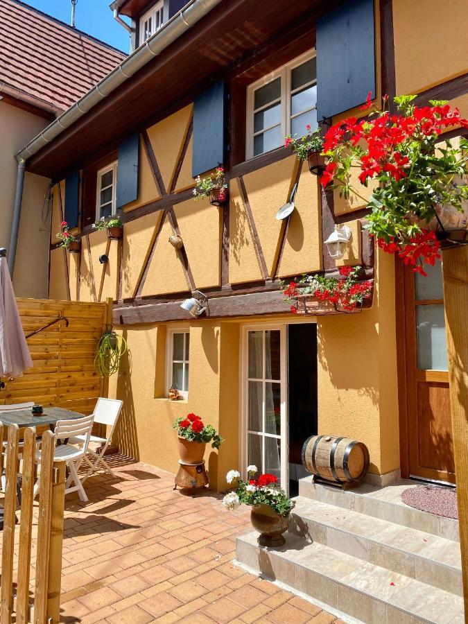 Coeur D'Alsace Colmar Vignobles Ouest Avec Terrasses Villa Wintzenheim Bagian luar foto