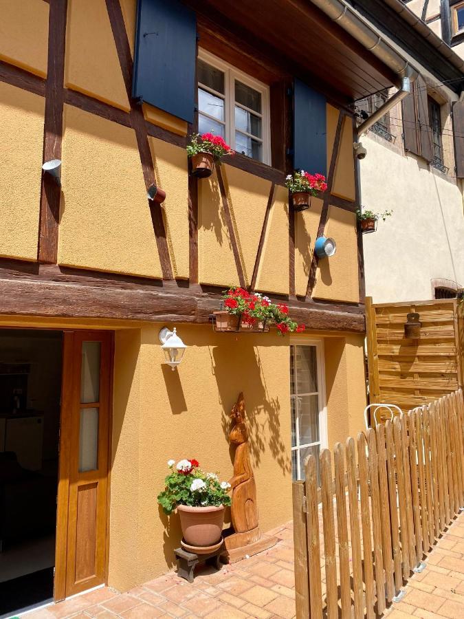 Coeur D'Alsace Colmar Vignobles Ouest Avec Terrasses Villa Wintzenheim Bagian luar foto