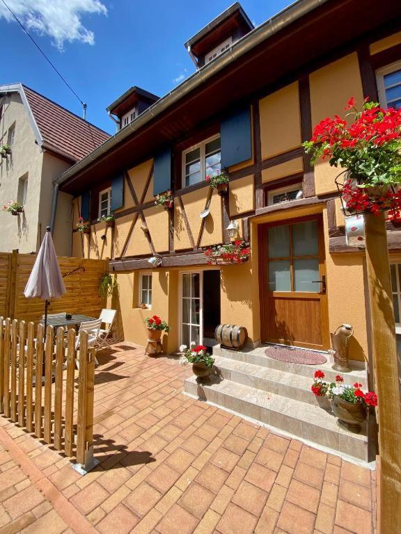 Coeur D'Alsace Colmar Vignobles Ouest Avec Terrasses Villa Wintzenheim Bagian luar foto