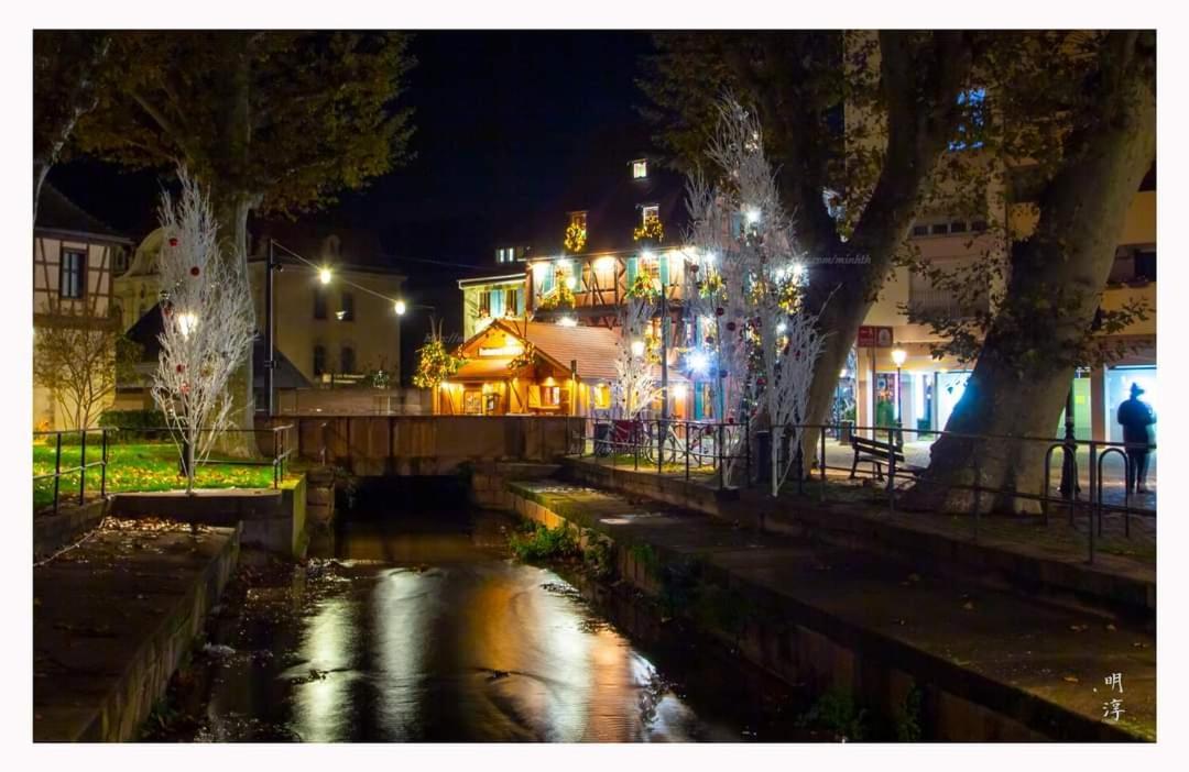 Coeur D'Alsace Colmar Vignobles Ouest Avec Terrasses Villa Wintzenheim Bagian luar foto