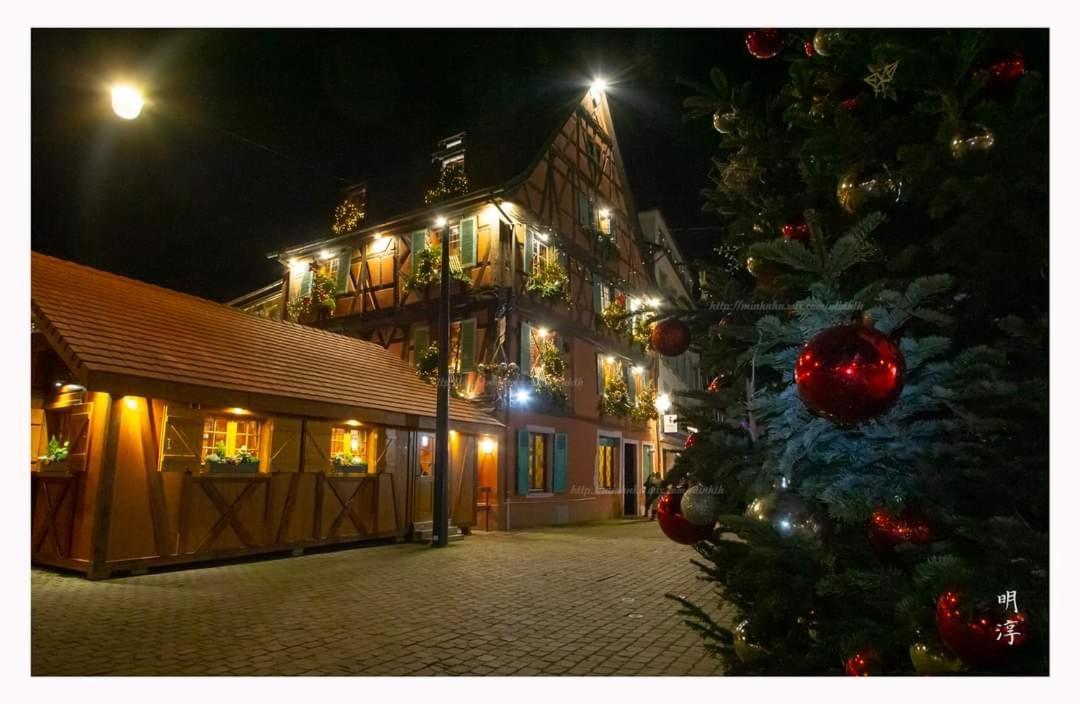 Coeur D'Alsace Colmar Vignobles Ouest Avec Terrasses Villa Wintzenheim Bagian luar foto
