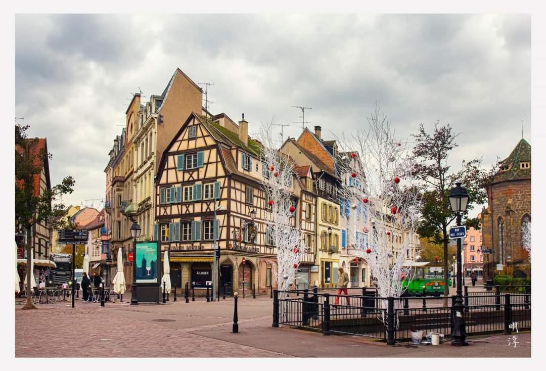 Coeur D'Alsace Colmar Vignobles Ouest Avec Terrasses Villa Wintzenheim Bagian luar foto