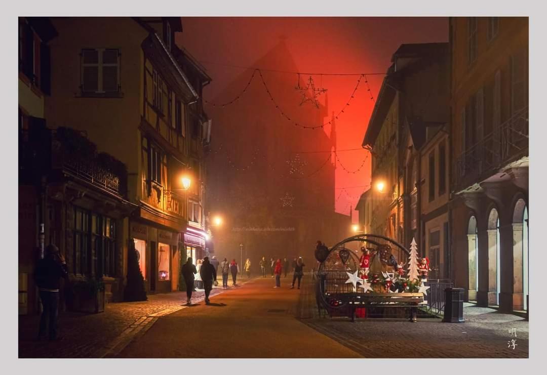 Coeur D'Alsace Colmar Vignobles Ouest Avec Terrasses Villa Wintzenheim Bagian luar foto
