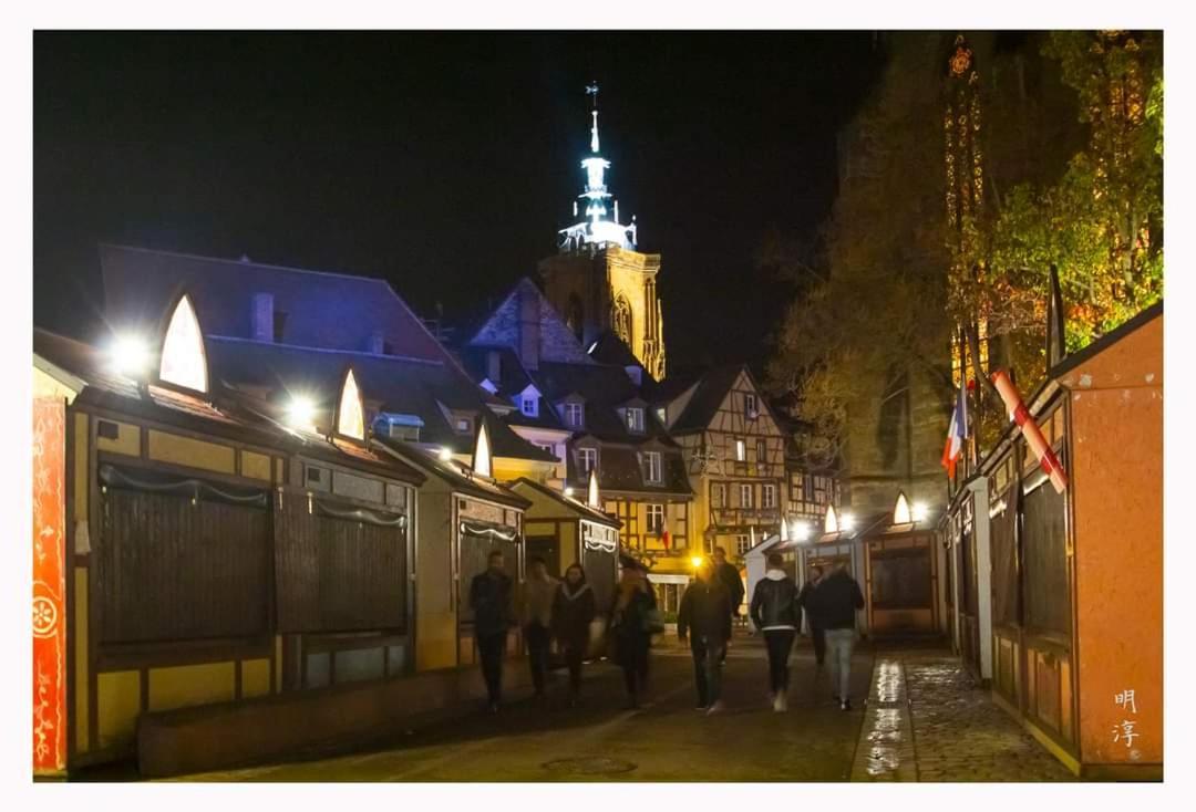 Coeur D'Alsace Colmar Vignobles Ouest Avec Terrasses Villa Wintzenheim Bagian luar foto